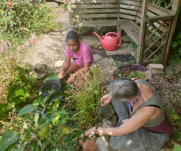 Kids doing gardening
